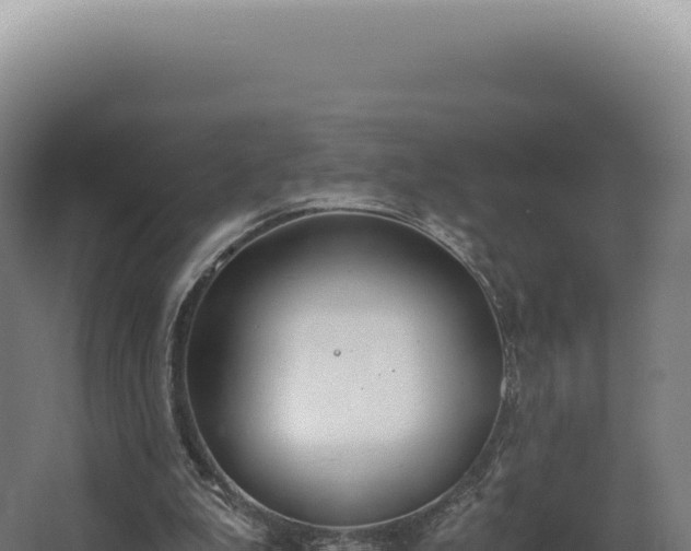 X0000068310199200604281744