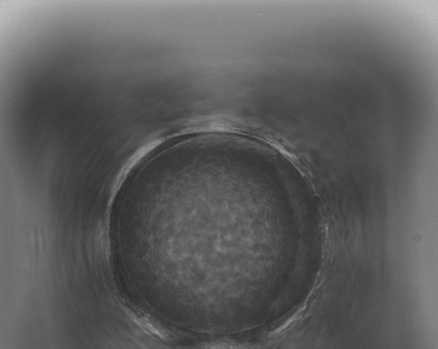 X0000068310200200604281744