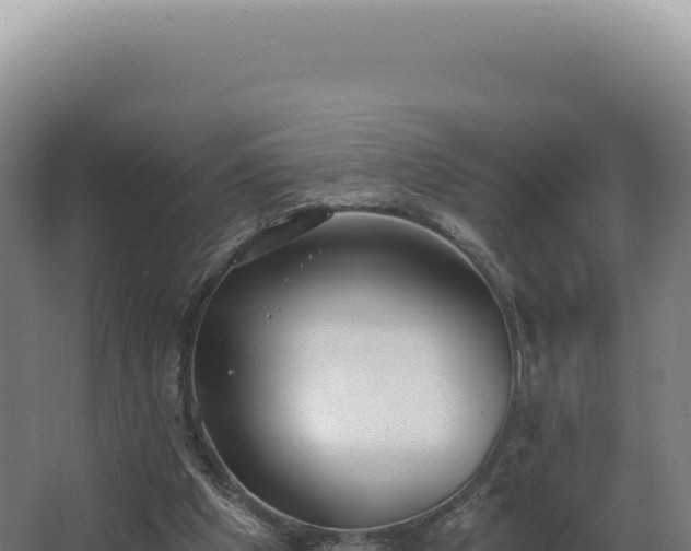 X0000068310201200604281744