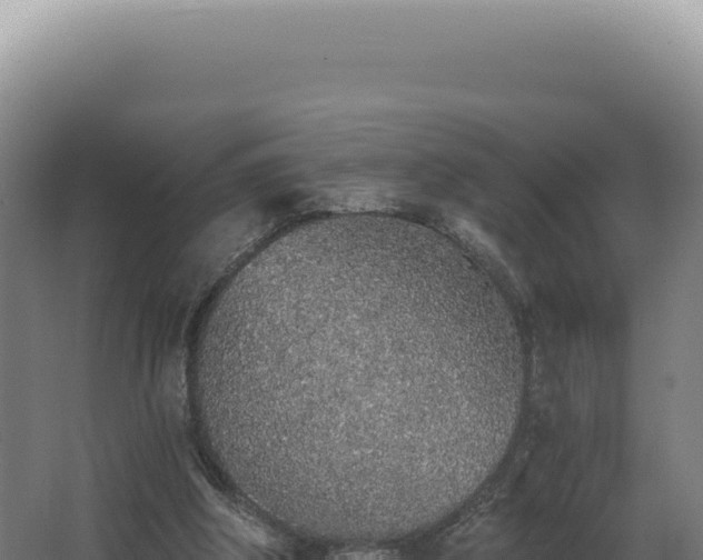 X0000068310202200604281744