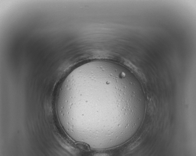 X0000068310203200604281744