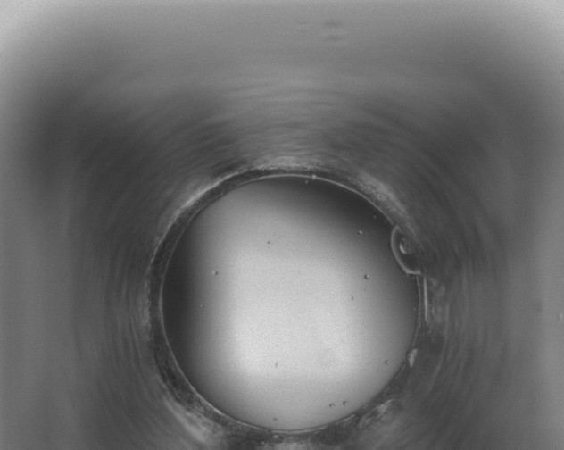 X0000068310204200604281744