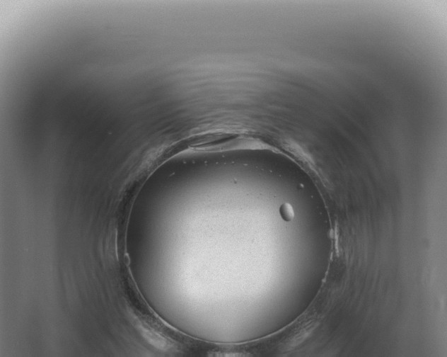 X0000068310205200604281744