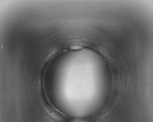 X0000068310207200604281744