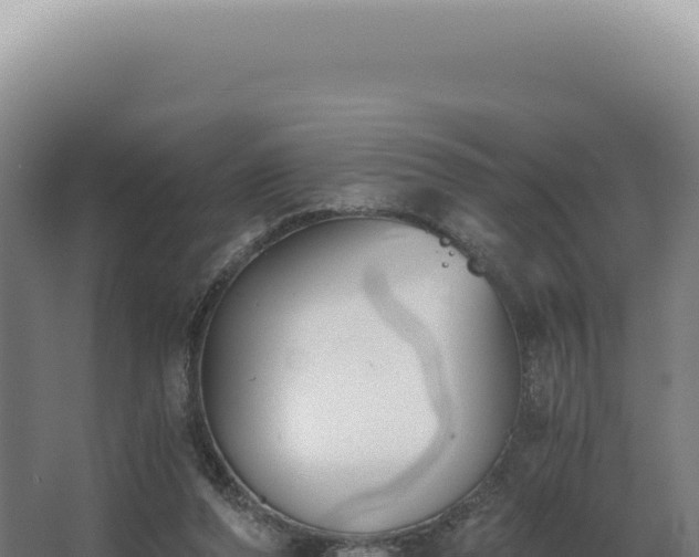 X0000068310208200604281744