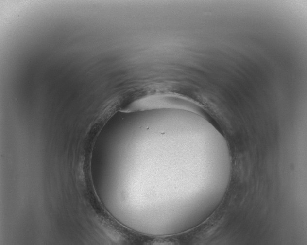 X0000068310209200604281744