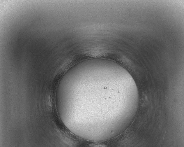 X0000068310210200604281744