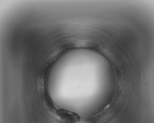 X0000068310211200604281744