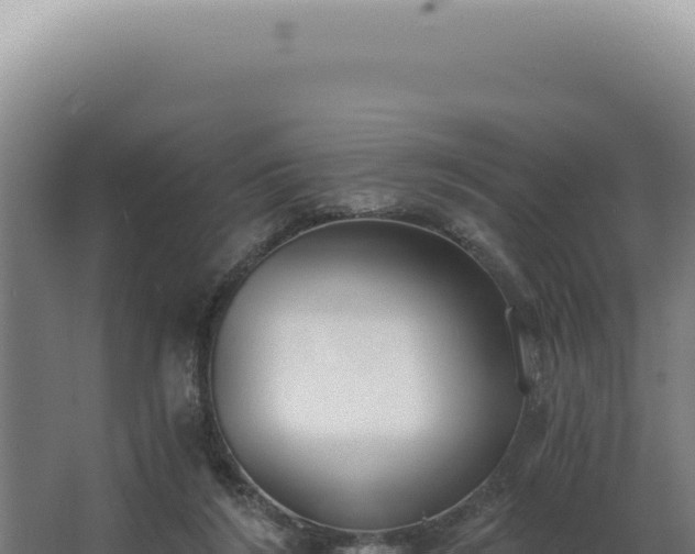 X0000068310212200604281744