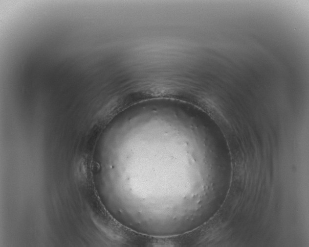 X0000068310214200604281744