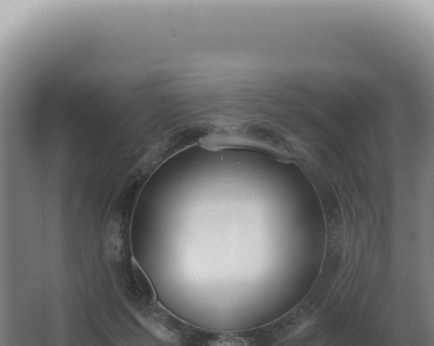 X0000068310215200604281744