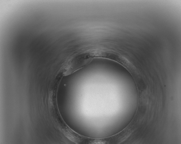 X0000068310217200604281744