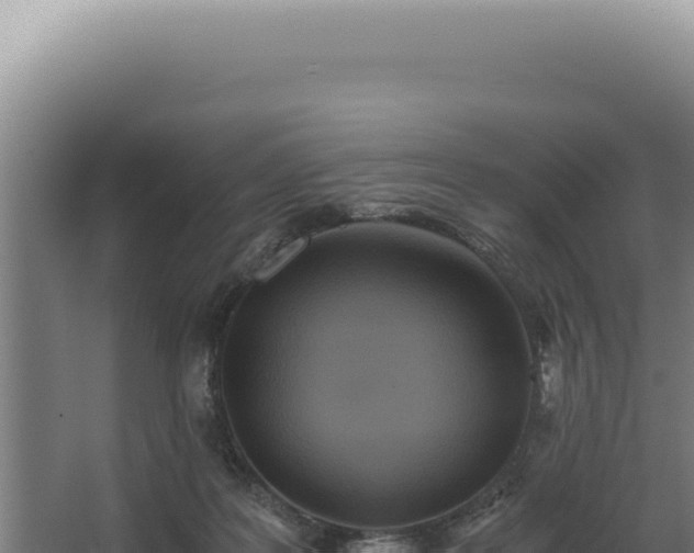 X0000068310219200604281744