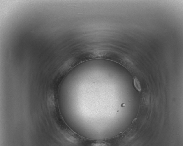 X0000068310220200604281744