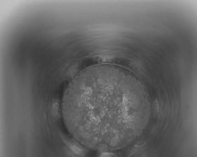 X0000068310222200604281744