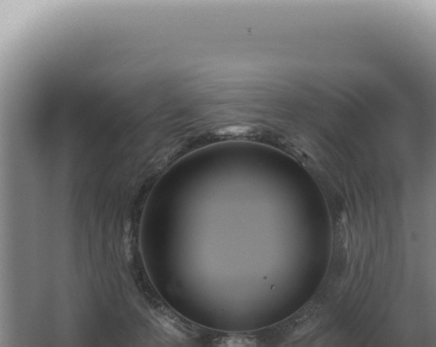 X0000068310223200604281744