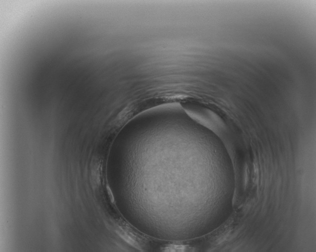 X0000068310227200604281744