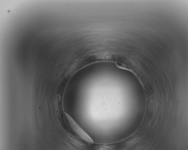 X0000068310229200604281744