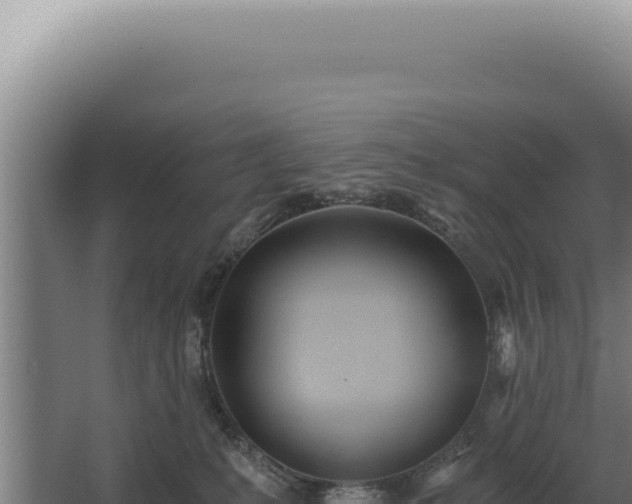 X0000068310231200604281744