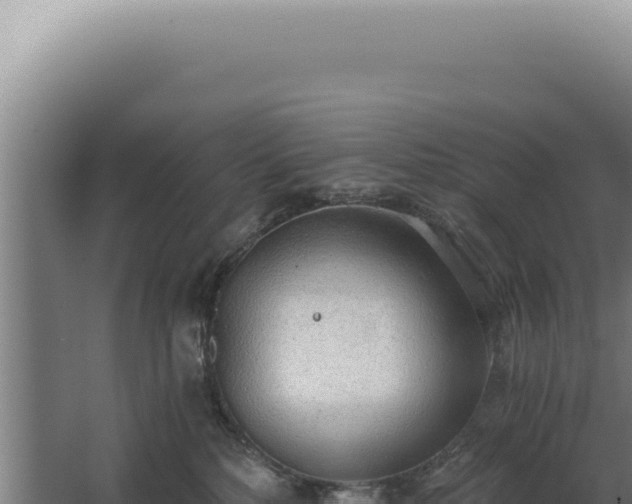 X0000068310232200604281744