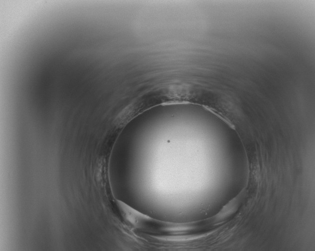 X0000068310233200604281744