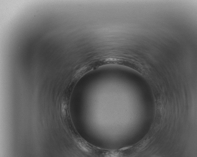 X0000068310235200604281743