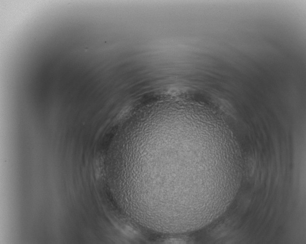 X0000068310236200604281743