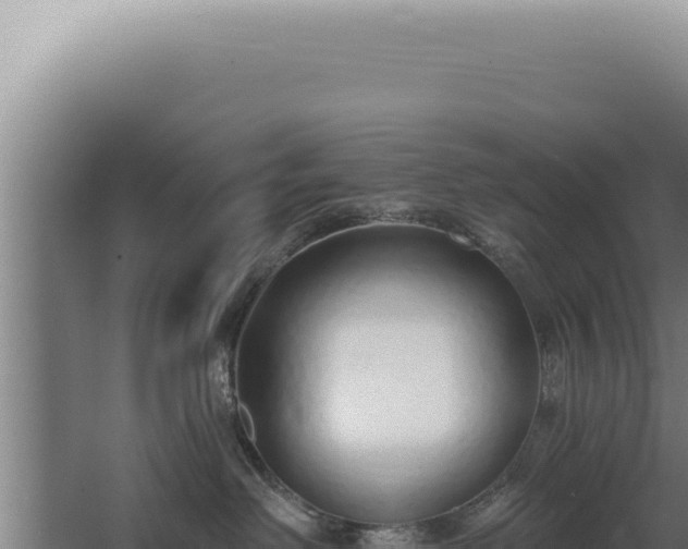 X0000068310238200604281743