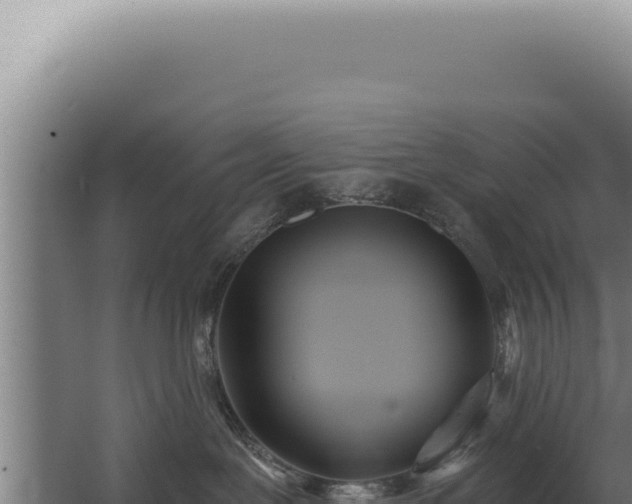 X0000068310239200604281743