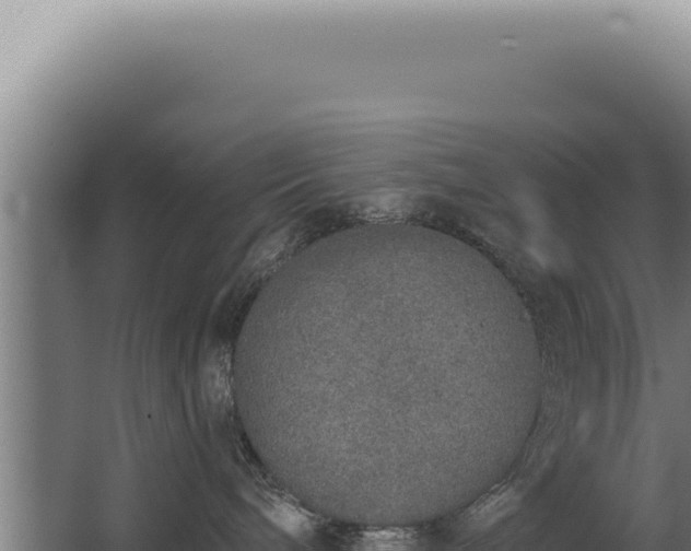 X0000068310240200604281743