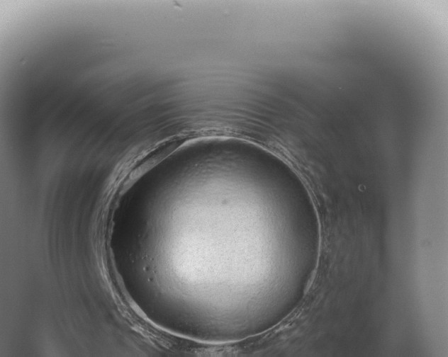 X0000068310241200604281743