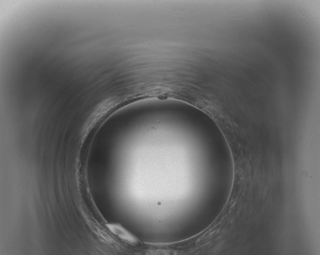 X0000068310242200604281743