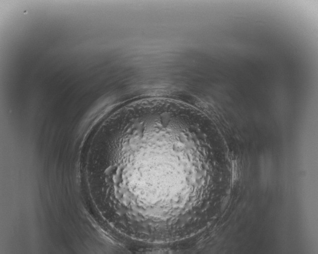 X0000068310243200604281743