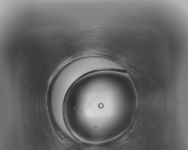 X0000068310244200604281743