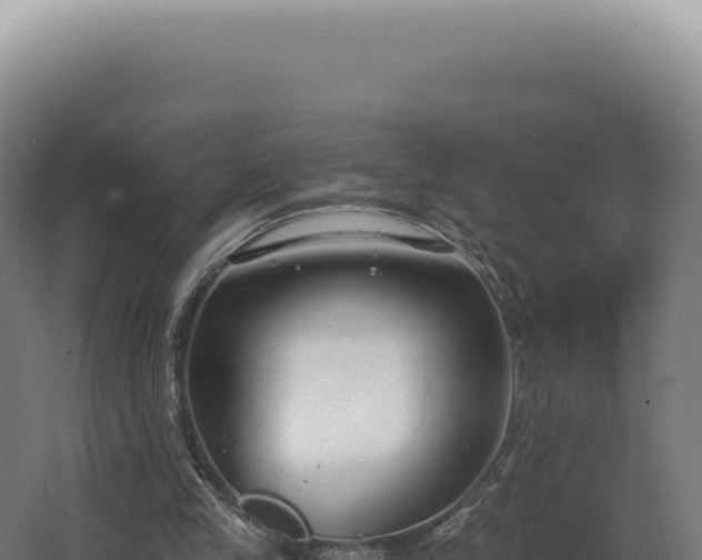 X0000068310245200604281743