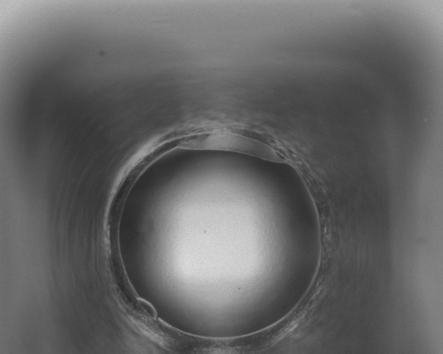 X0000068310246200604281743