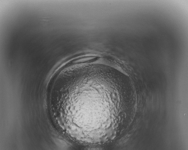 X0000068310247200604281743