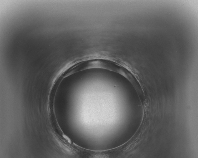 X0000068310248200604281743