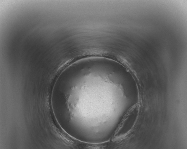 X0000068310249200604281743