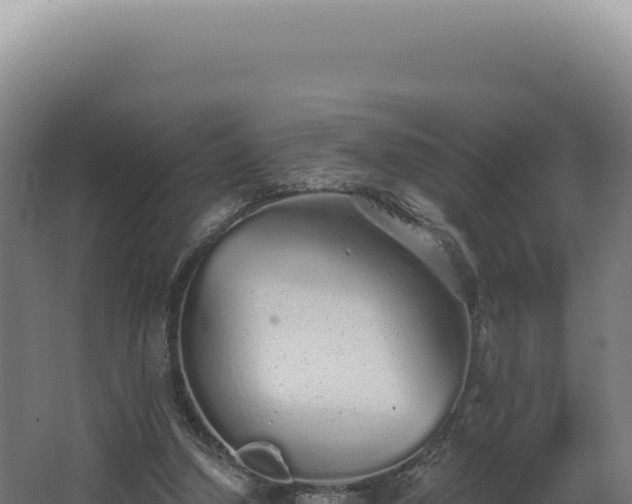 X0000068310250200604281743