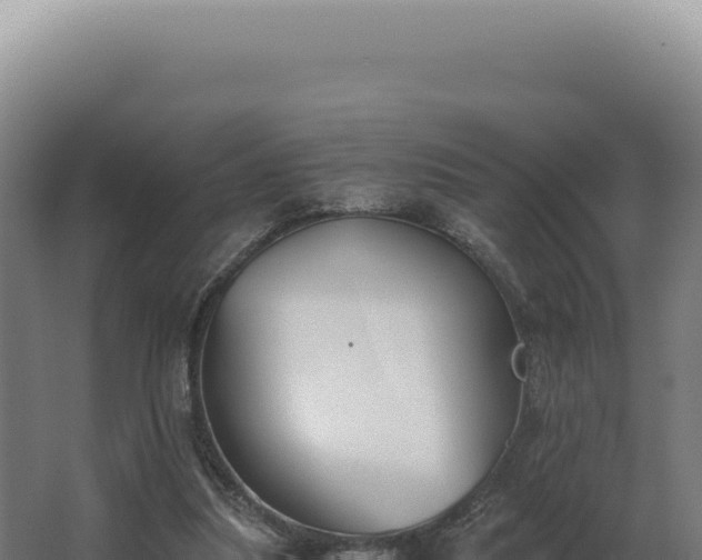 X0000068310251200604281743