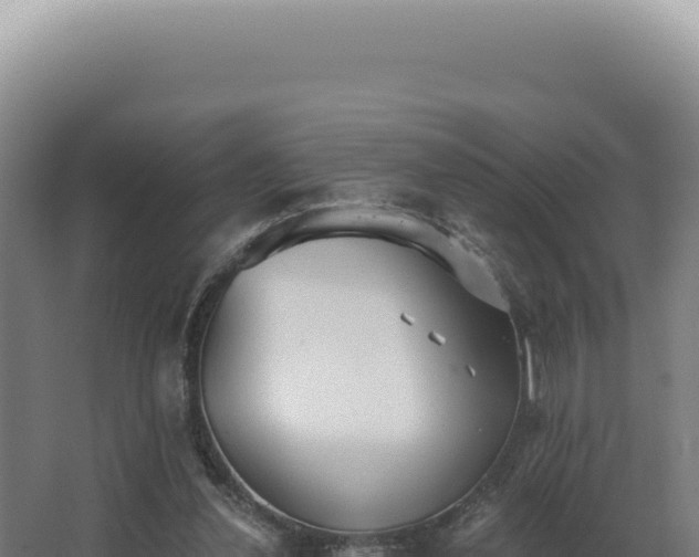 X0000068310252200604281743