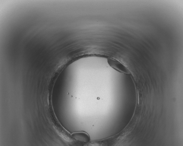 X0000068310253200604281743