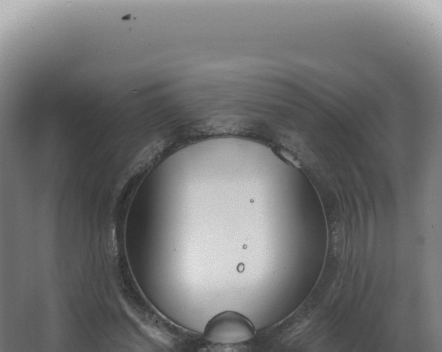 X0000068310254200604281743