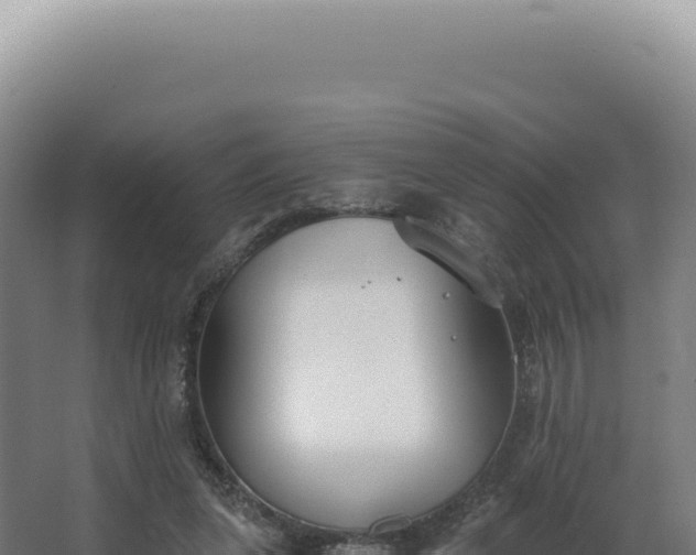 X0000068310255200604281743