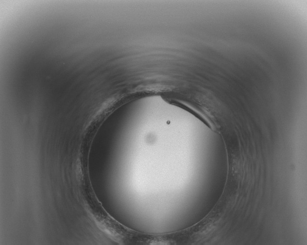 X0000068310256200604281743