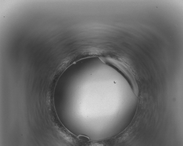 X0000068310257200604281743