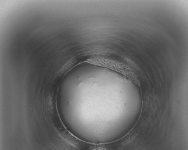 X0000068310258200604281743