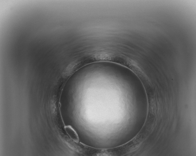 X0000068310259200604281743