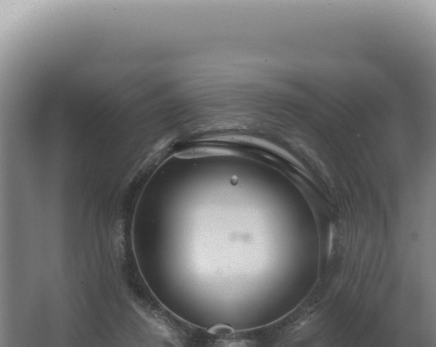 X0000068310260200604281743